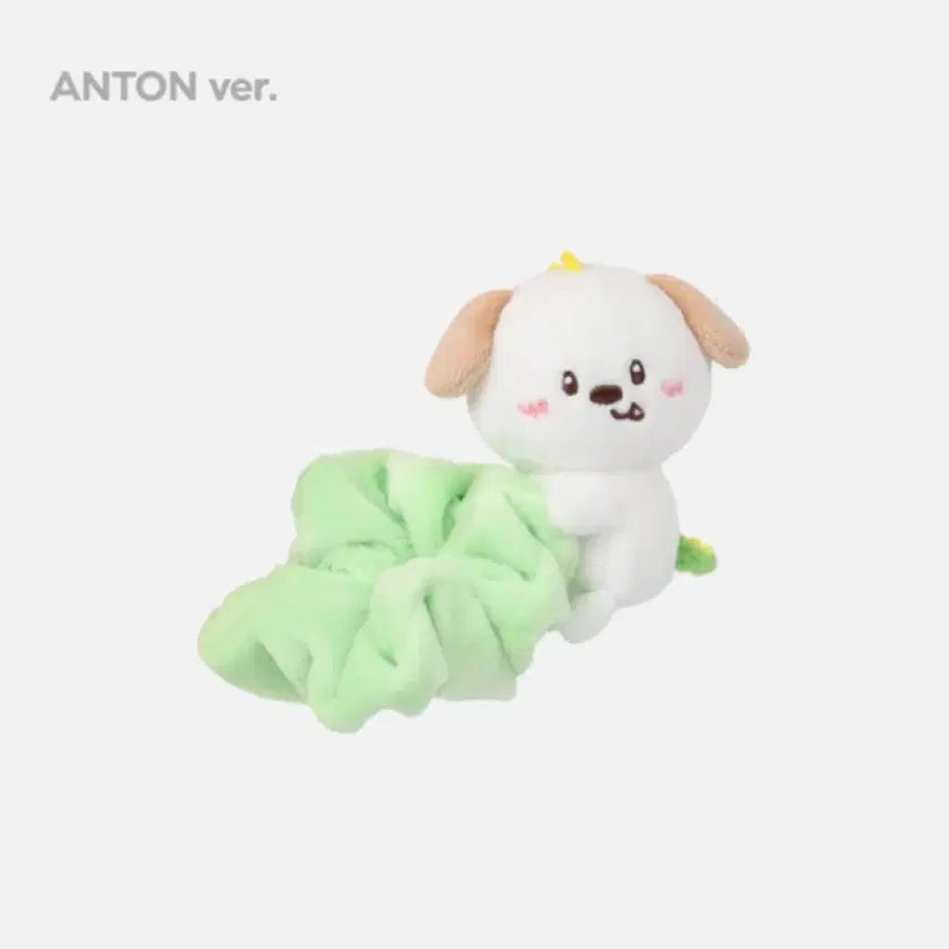 [BUNJANG] Urgent Purchase Request / 제발저한테팔아주세요진짜제발요진짜누나들제발
