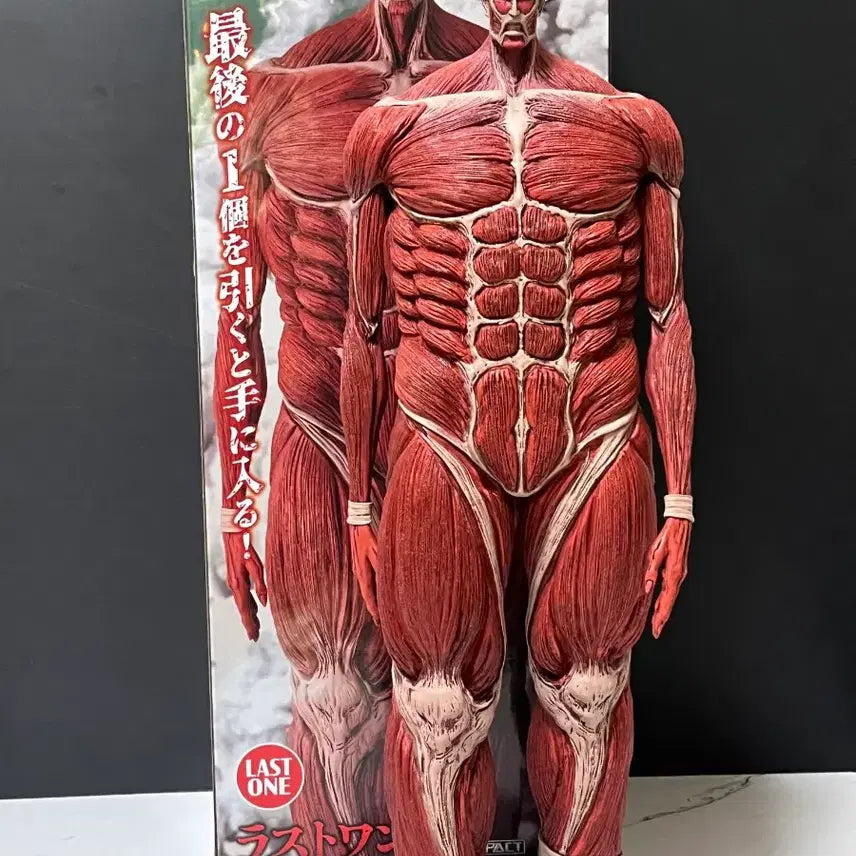 [BUNJANG] Attack on Titan Last One Prize Colossal Titan Figure (Opened) / 최저가) 진격의거인 제일복권 라스트원 초대형거인 피규어