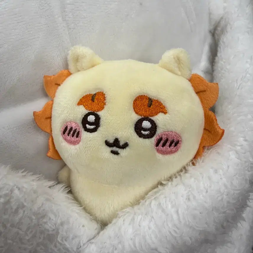 [BUNJANG] Sisa Plush Doll / 시사 인형(당도최고)