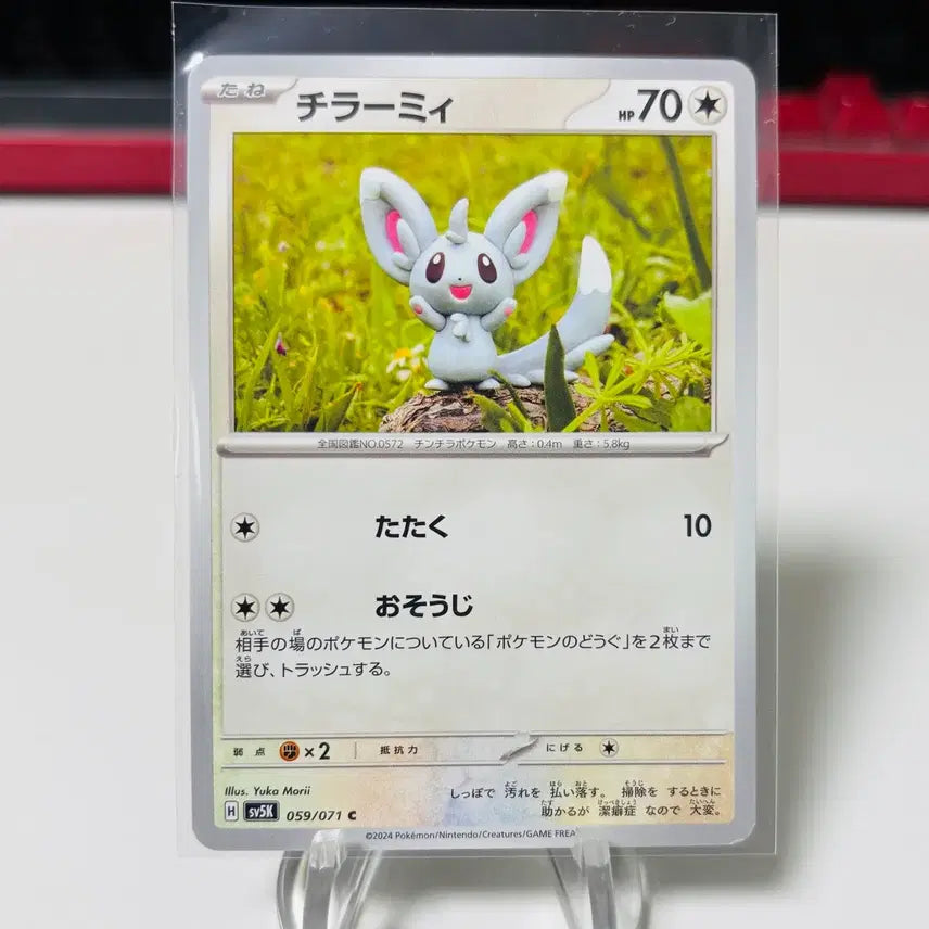 [BUNJANG] Pokemon Card Chirami Artist Yuka Moriguchi / (일판) 포켓몬카드 유카모리 작가 치라미