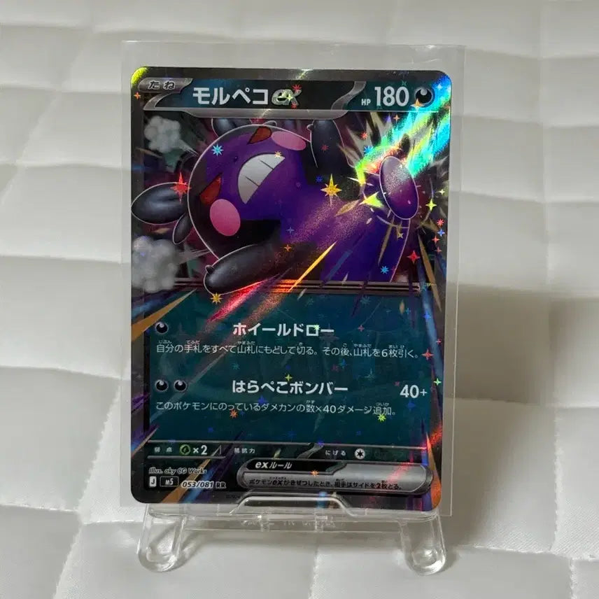 [BUNJANG] Morpeko EX RR Pokemon Card / [일판] 모르페코 ex rr 카드