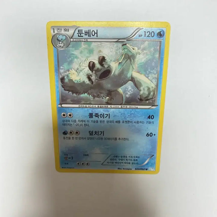 [BUNJANG] Toonbear Pokemon Card / 툰베어 포켓몬카드