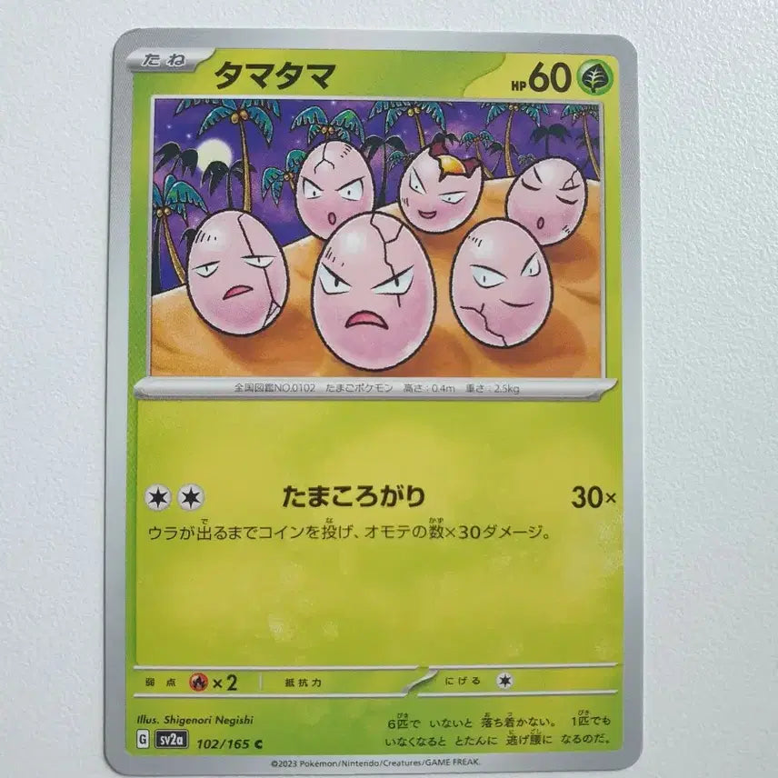 [BUNJANG] Japanese Arary Pokemon Card / 일판/아라리 포켓몬카드
