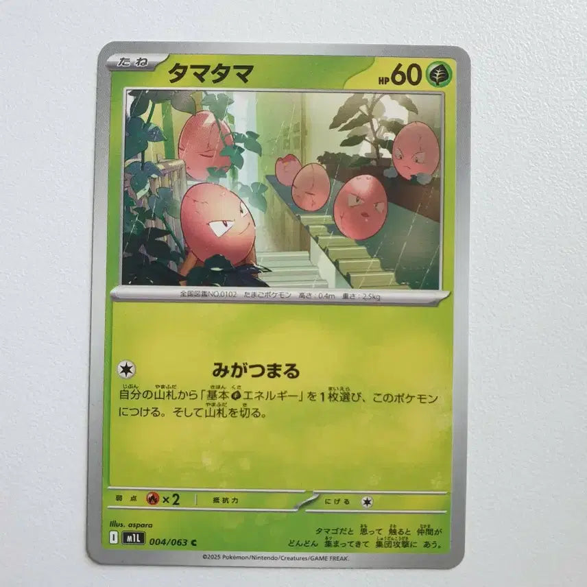 [BUNJANG] Ararin Pokémon Card (Japanese Version) / 일판/아라리 포켓몬카드
