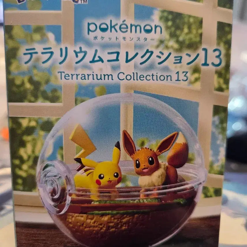 [BUNJANG] Pokemon Terrarium Collection 13 Pikachu &amp; Eevee Figure / 포켓몬 테라리움 컬렉션 13 피카츄 이브이