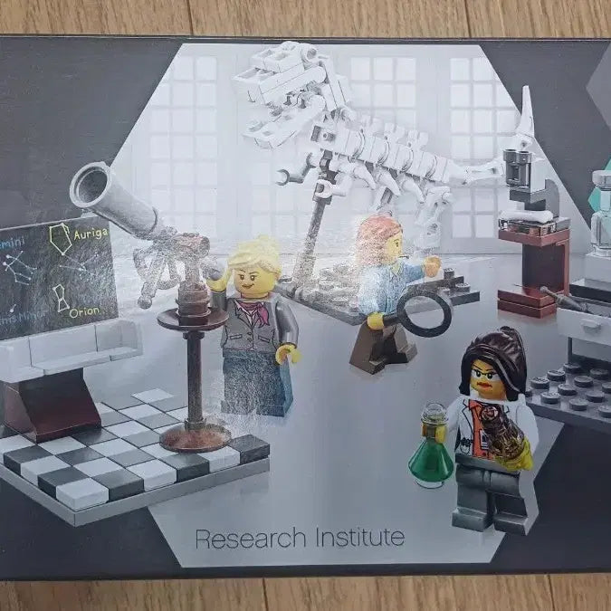 [BUNJANG] LEGO Ideas 21110 Women of Science Set / 레고 아이디어 21110 여성과학자 중고