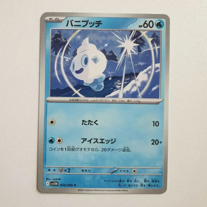 [BUNJANG] Japanese Version Vanvity Pokemon Card / 일판/바닐프티 포켓몬카드