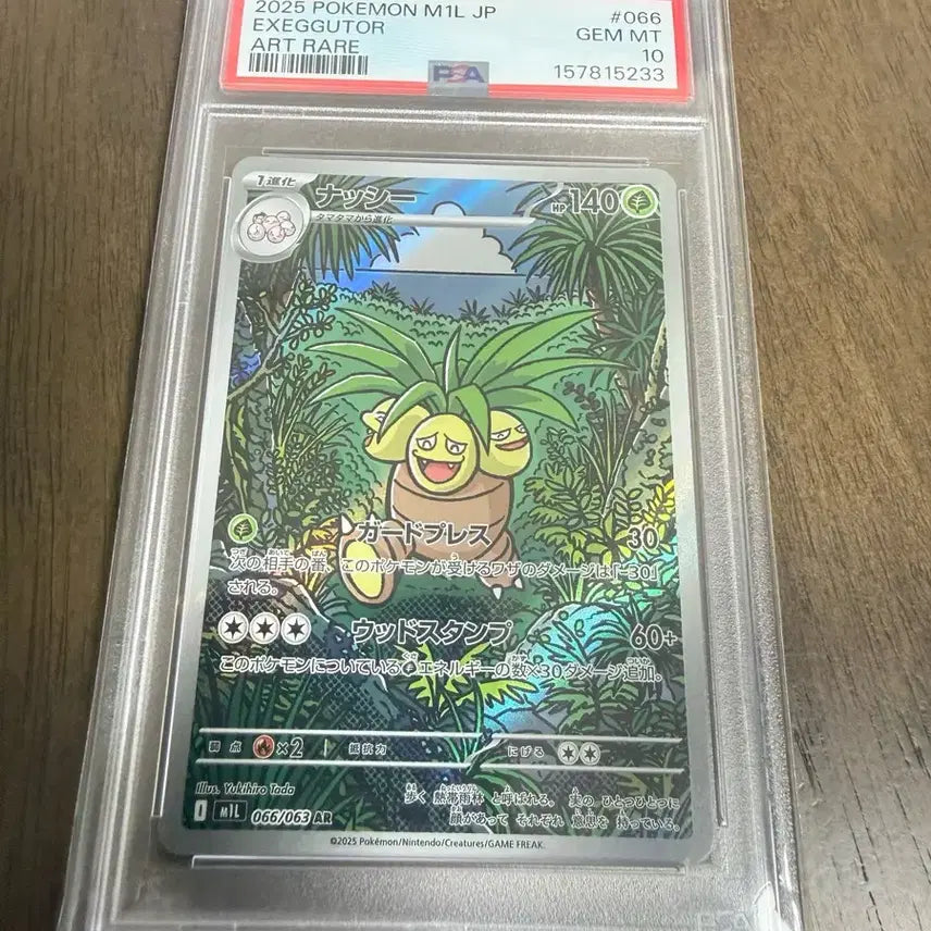 [BUNJANG] Pokemon Japanese PSA 10 Graded Cards 21-30 / 포켓몬카드 일판 PSA10 등급카드 21-30