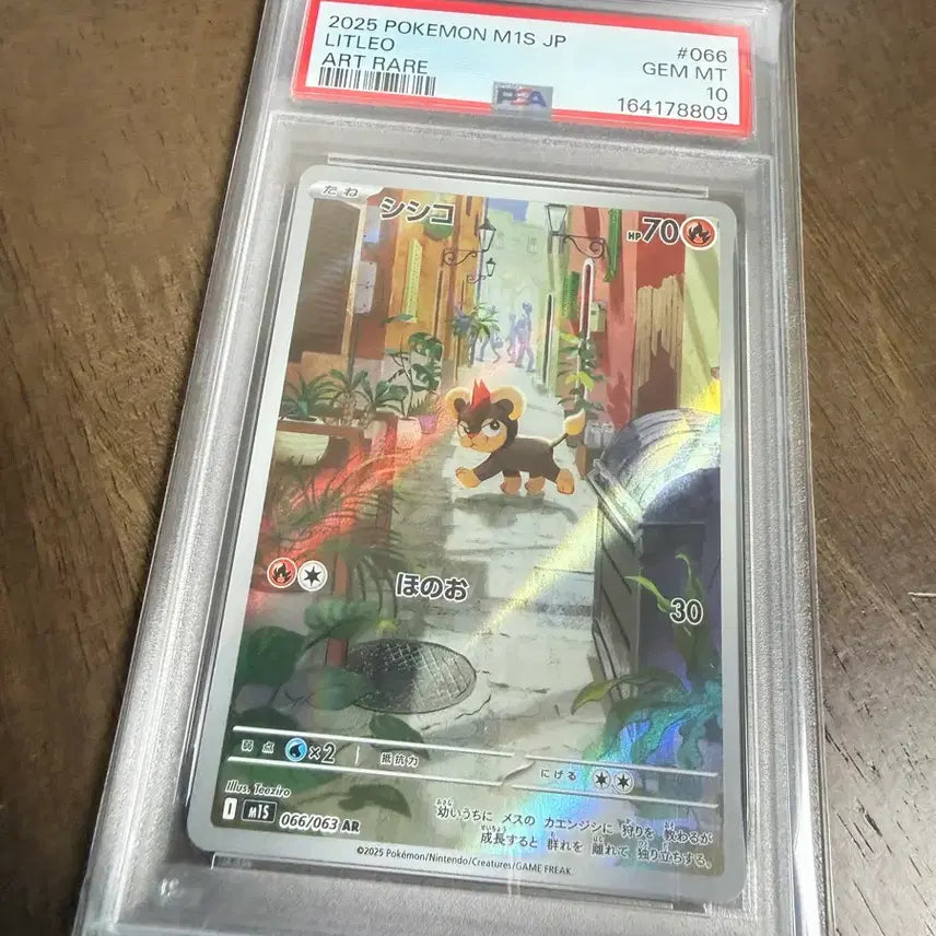 [BUNJANG] Pokemon TCG Japanese PSA 10 Graded Cards (Set 41-52) / 포켓몬카드 일판 PSA10 등급카드 41-52