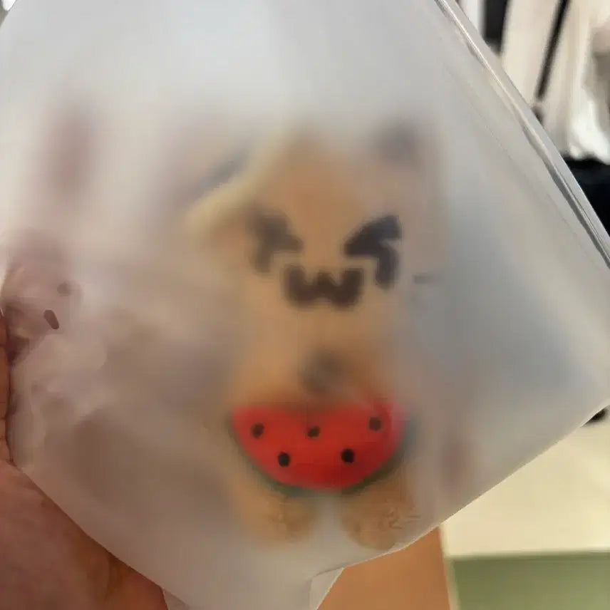 [BUNJANG] TWS "Tanning Ttoonyi" Plush Doll (Sealed) / 투어스 TWS 태닝투냥이 판매합니다