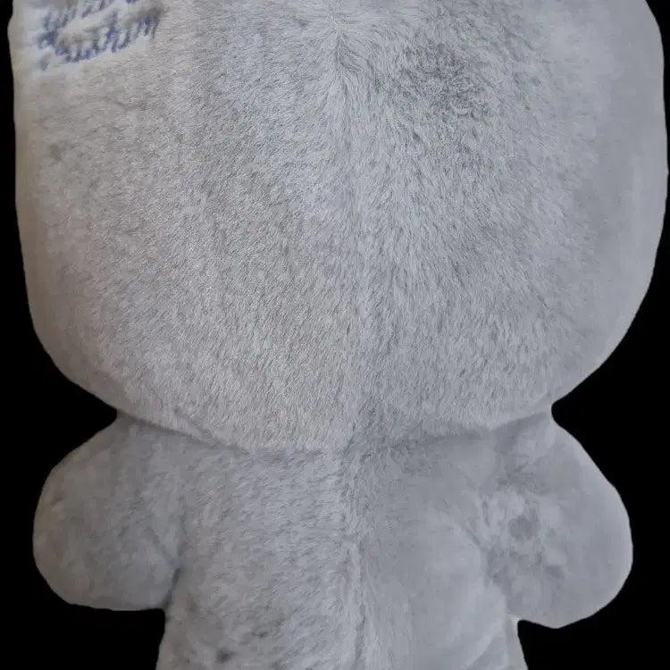 [BUNJANG] Ensemble Stars Yuzuru Fushimi Cat Plush Doll / 앙상블스타즈 앙스타 후시미 유즈루 고양이 중스타 인형 판매