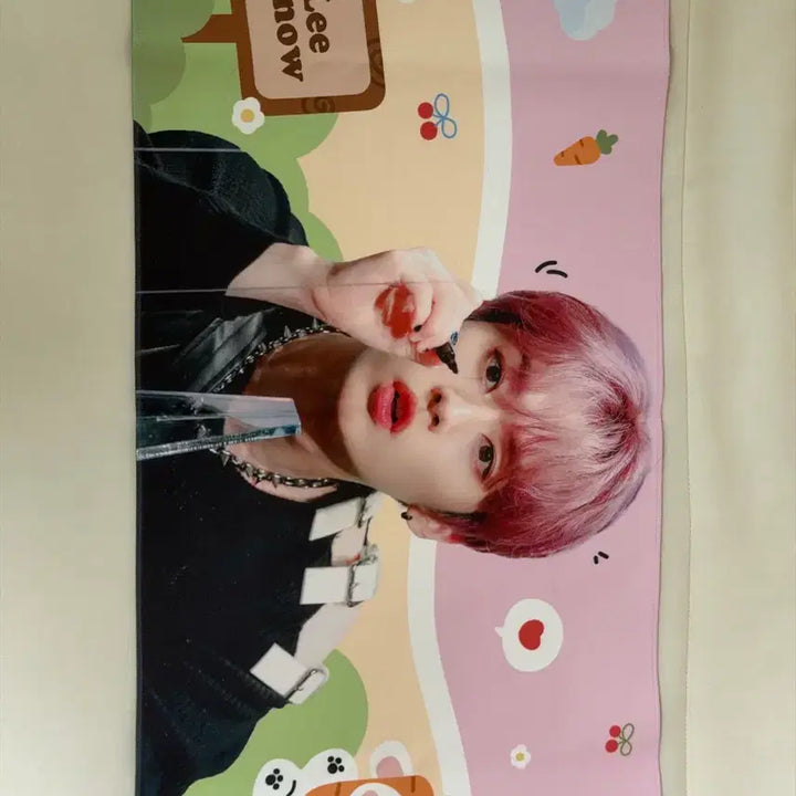 [BUNJANG] Stray Kids Lee Know Reflective Slogan / 스트레이키즈 스키즈 리노 반사 슬로건 양도