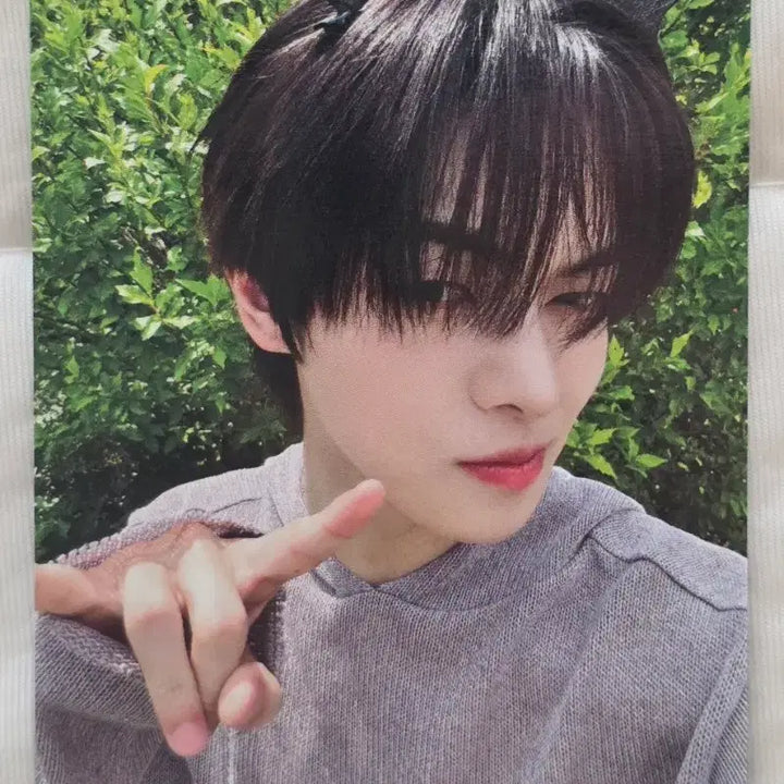 [BUNJANG] ALDI1 Alphadrive1 Rio Showcase Photocard / 알디원 알파드라이브원 리오 쇼케이스 포카