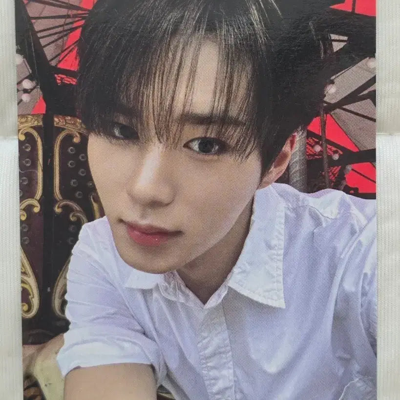 [BUNJANG] ALDI1 Alpha Drive 1 Junseo Showcase Photocard / 알디원 알파드라이브원 준서 쇼케이스 포카