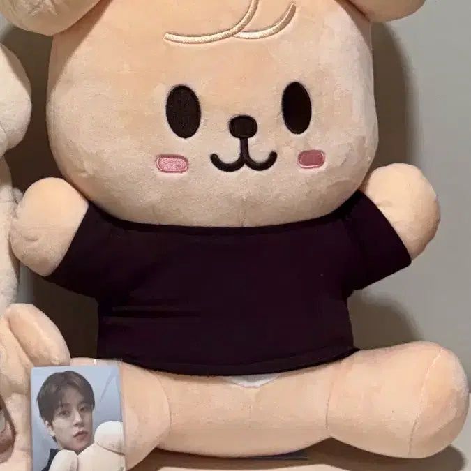 [BUNJANG] Stray Kids SKZOO PERMPPM Hug Me Plush Doll / 스키즈 스키주 퍼핌 허그미 나안아 인형