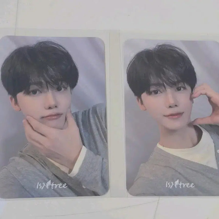 [BUNJANG] NCT Jaemin Izntree Photocard Bundle Set / NCT 재민 이즈앤트리 포카 (일괄)