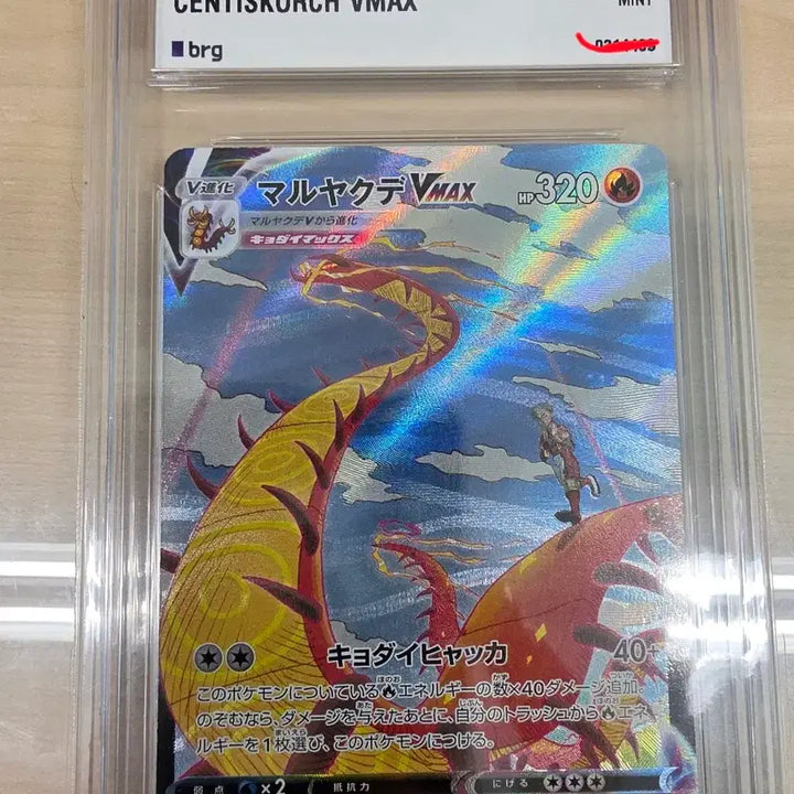 [BUNJANG] BRG Graded Card VMAX CSR Bundle Set (Korean &amp; Japanese) / [BRG등카] [한판&amp;일판] 다태우지네 VMAX 특일