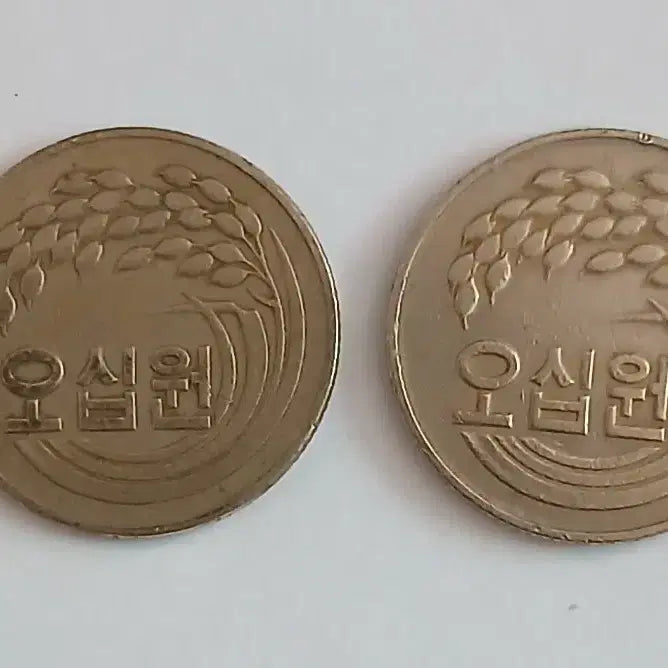 [BUNJANG] 50 KRW Coin (x2) / 50원 동전 2개