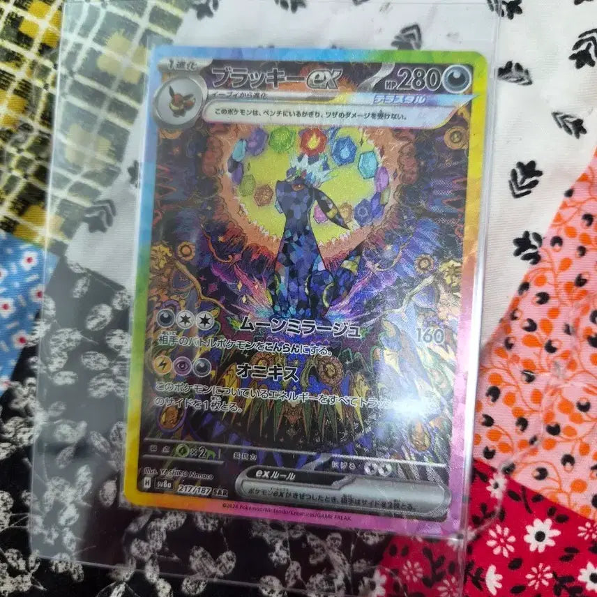 [BUNJANG] Pokemon Card Blackky EX 217/187 SAR / 포켓몬 카드 블랙키 EX 217/187 SAR