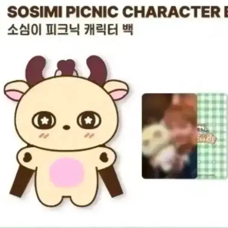 [BUNJANG] Park Ji Hoon "So Sim Yi" Picnic Character Bag / 현물)박지훈 소심이 피크닉 캐릭터 백 팝업 MD