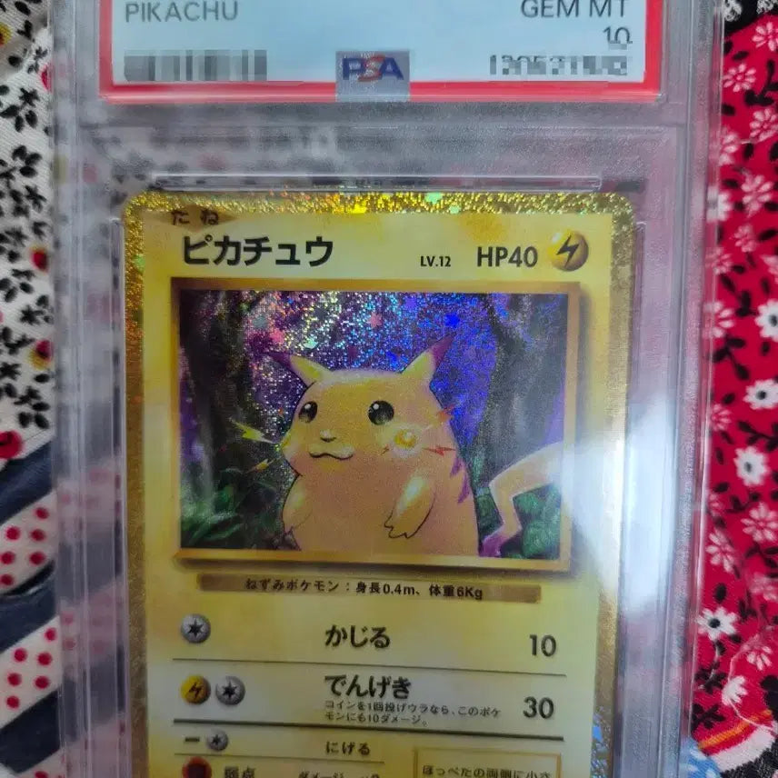 [BUNJANG] 2023 Pokemon Card Pikachu 008 GEM MT 10 / 2023 포켓몬카드 피카츄 008 GEM MT 10