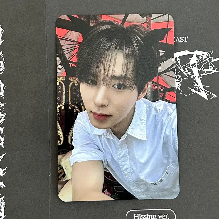 [BUNJANG] ALPHADRIVEONE Junseo Showcase Photocard / 알디원 쇼케 역조공 준서 포카
