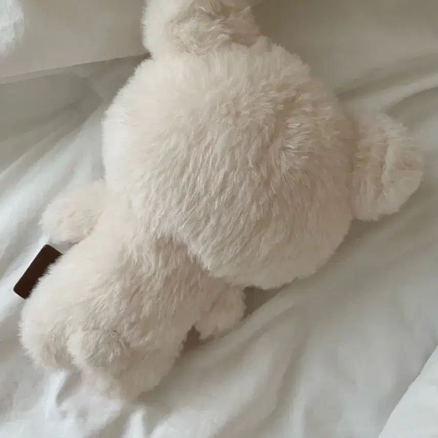[BUNJANG] San-X Rilakkuma Plush / 코리락쿠마 인형 산엑스 장모 정품 인형 팔아요!