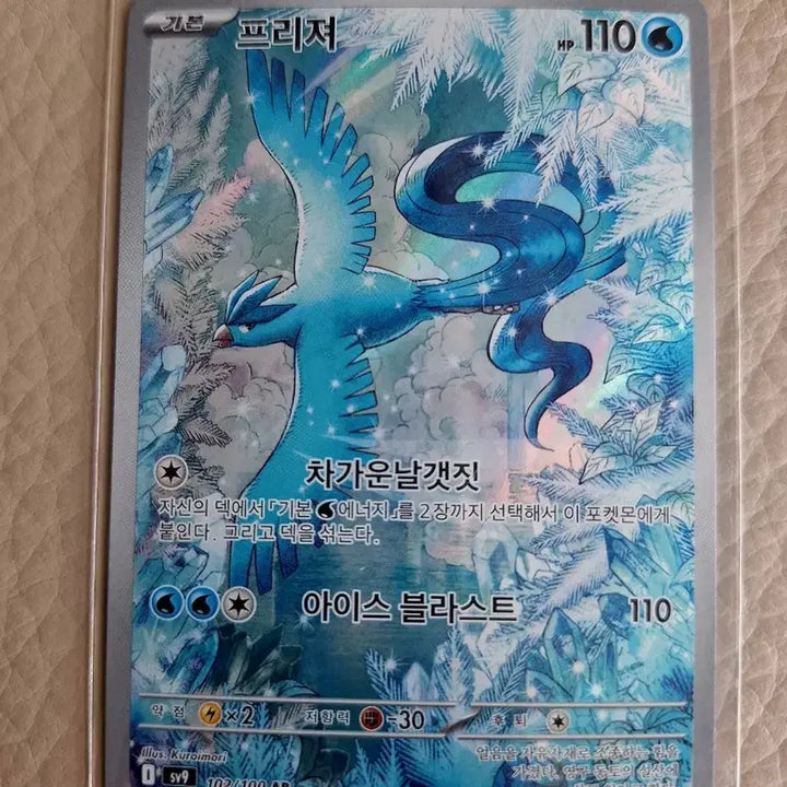 [BUNJANG] Pokemon Card Freezer AR / 포켓몬 카드 프리져 AR