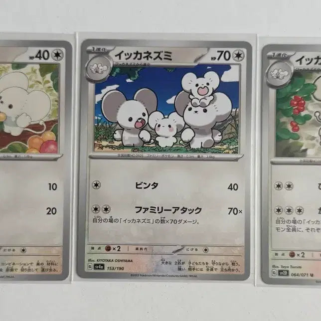 [BUNJANG] Pokemon Card Family Set (Japanese) / 포켓몬카드 파밀리쥐 (일판)