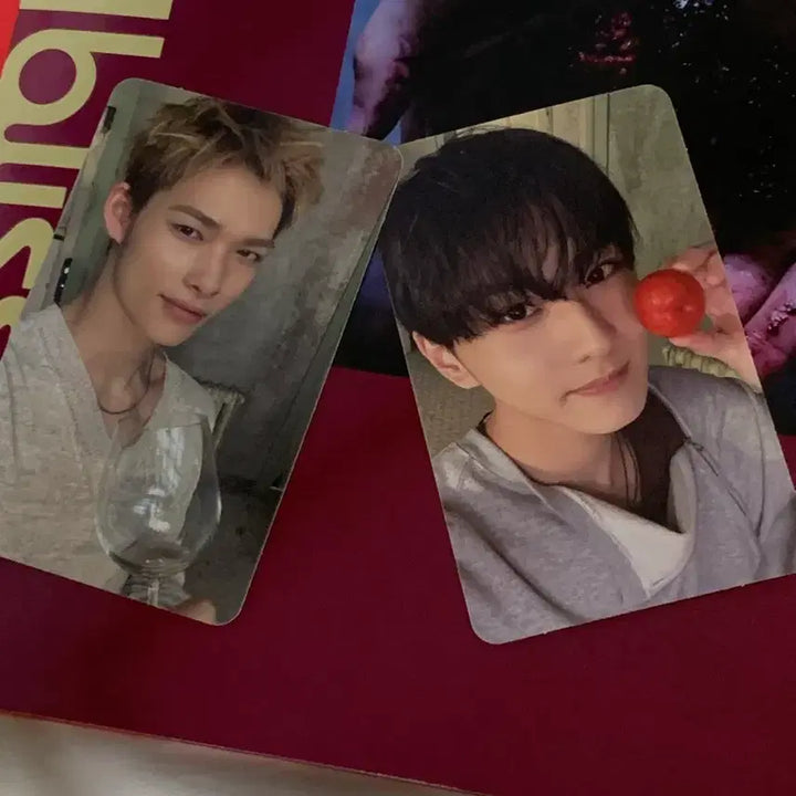 [BUNJANG] ENHYPEN The Sin: Bliss Album Regular Ver. Take 1 (Full Set) / 엔하이픈 The sin: bliss 앨범 일반반 Take 1 버전 (풀구성)