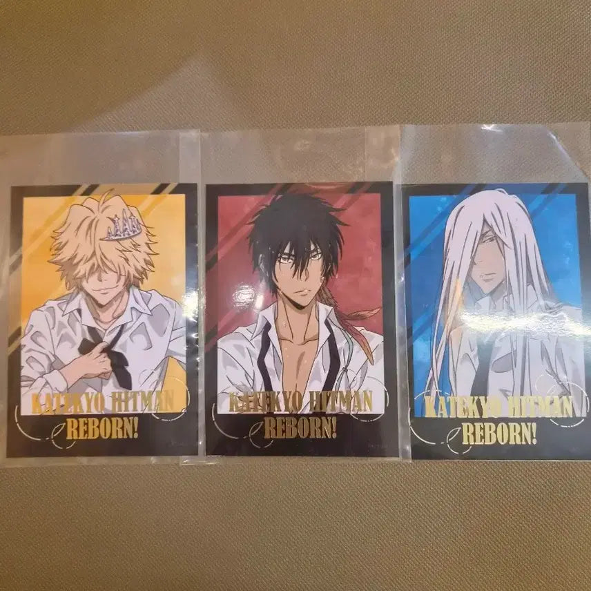 [BUNJANG] Katekyo Hitman Reborn! Bromide &amp; Postcard Bundle Set / 일괄)가정교사히트맨리본 가히리 브로마이드 엽서