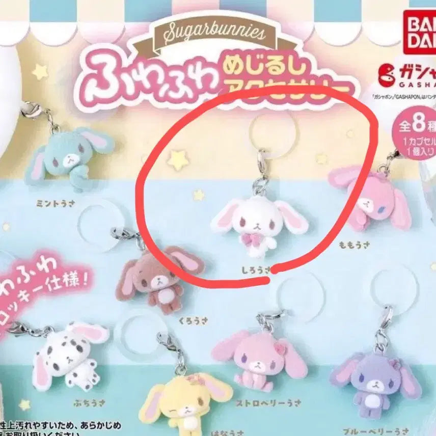 [BUNJANG] Sanrio Sugarbunnies Fuwa Fuwa Clear Charm / [새상품] 산리오 슈가바니즈 후와후와 메지루시 가챠 시로우사
