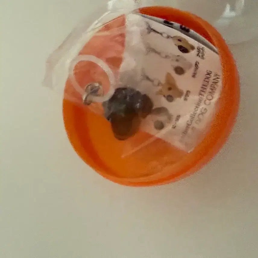 [BUNJANG] The Dog Dachshund Sealed Merchandise / 더독 the dog 고전 메지루시 교환