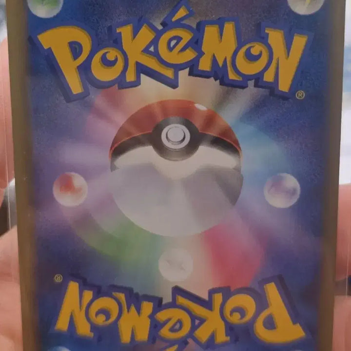 [BUNJANG] Pokemon Chirply (찌리리공) Card / (포켓몬) 건방지게 쳐다보는 찌리리공 카드