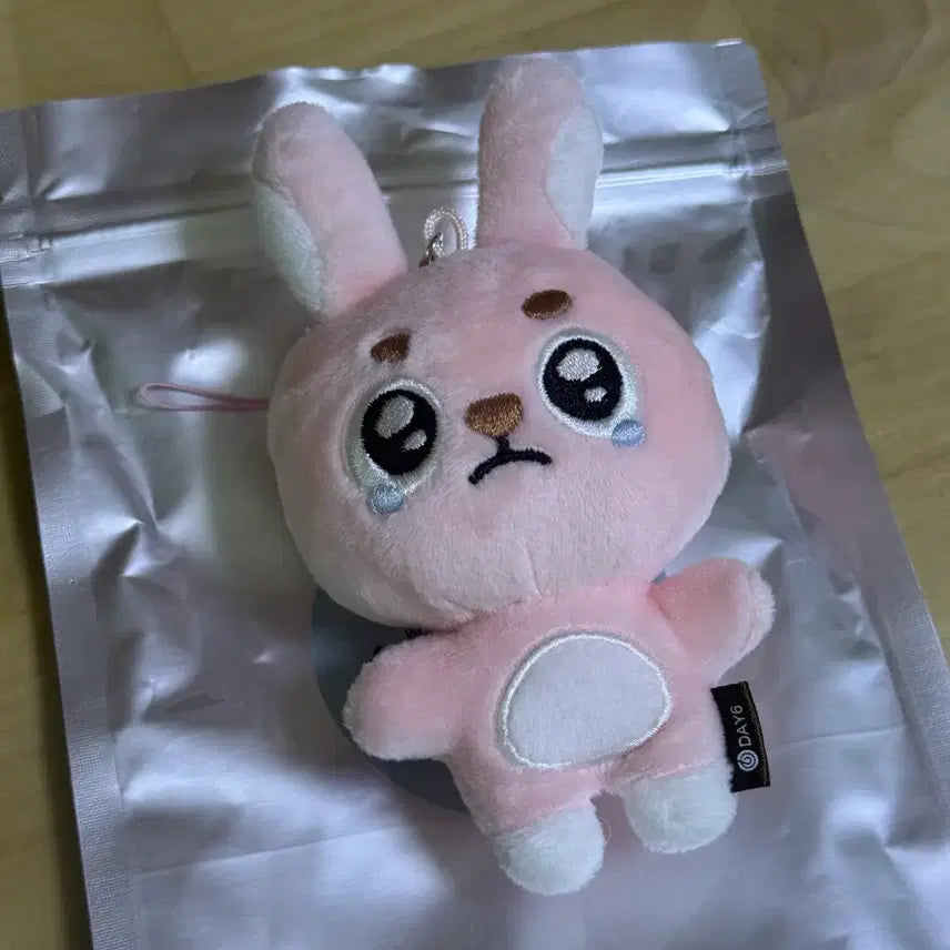 [BUNJANG] DAY6 Wonpil Unfiltered MD Ppyengpil / 데이식스 원필 언필터드 엠디 뿌엥필