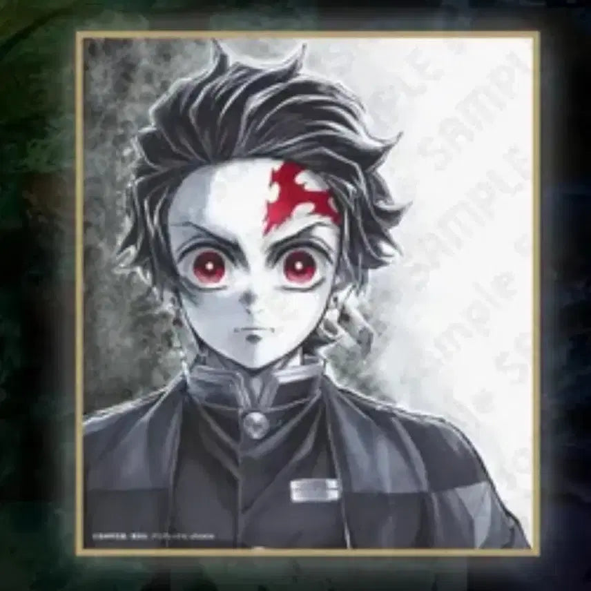 [BUNJANG] Demon Slayer Tanjiro Kamado Front Facing Shikishi Panel / 귀멸의 칼날 탄지로 정면 색지 AJ 2026 웹샵쿠지