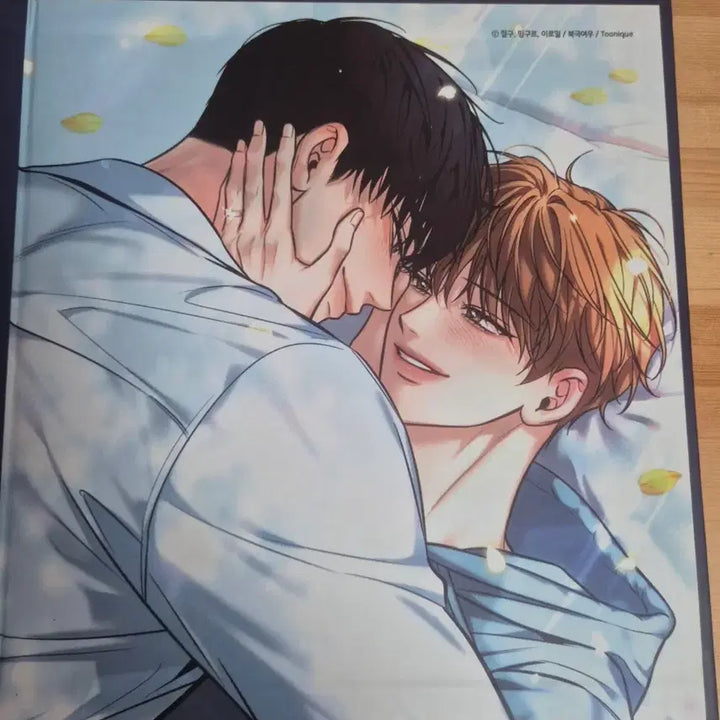 [BUNJANG] Mofun Summer Binder Postcard Bundle / 모펀 투니크 하절기 바인더 엽서 일괄 판매