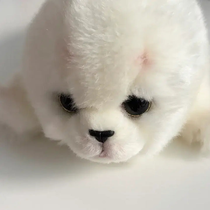 [BUNJANG] Soft Seal Plush / 물개 인형