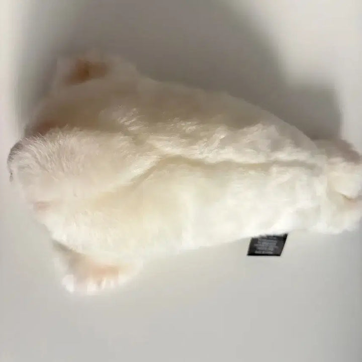 [BUNJANG] Soft Seal Plush / 물개 인형