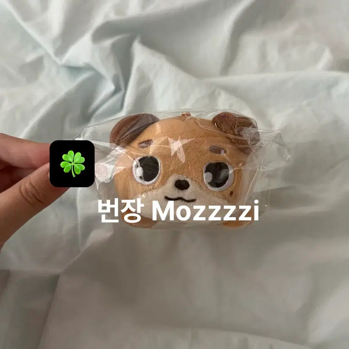 [BUNJANG] Day6 DEnimals Plush Lying Don Sealed / 데이식스 데니멀즈 플러시 라잉 돈 미개봉 원가이하 양도