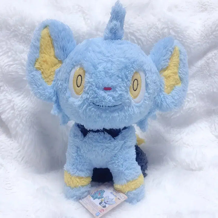 [BUNJANG] Pokemon Shinx Plush New Product / 포켓몬 꼬링크 인형 새상품