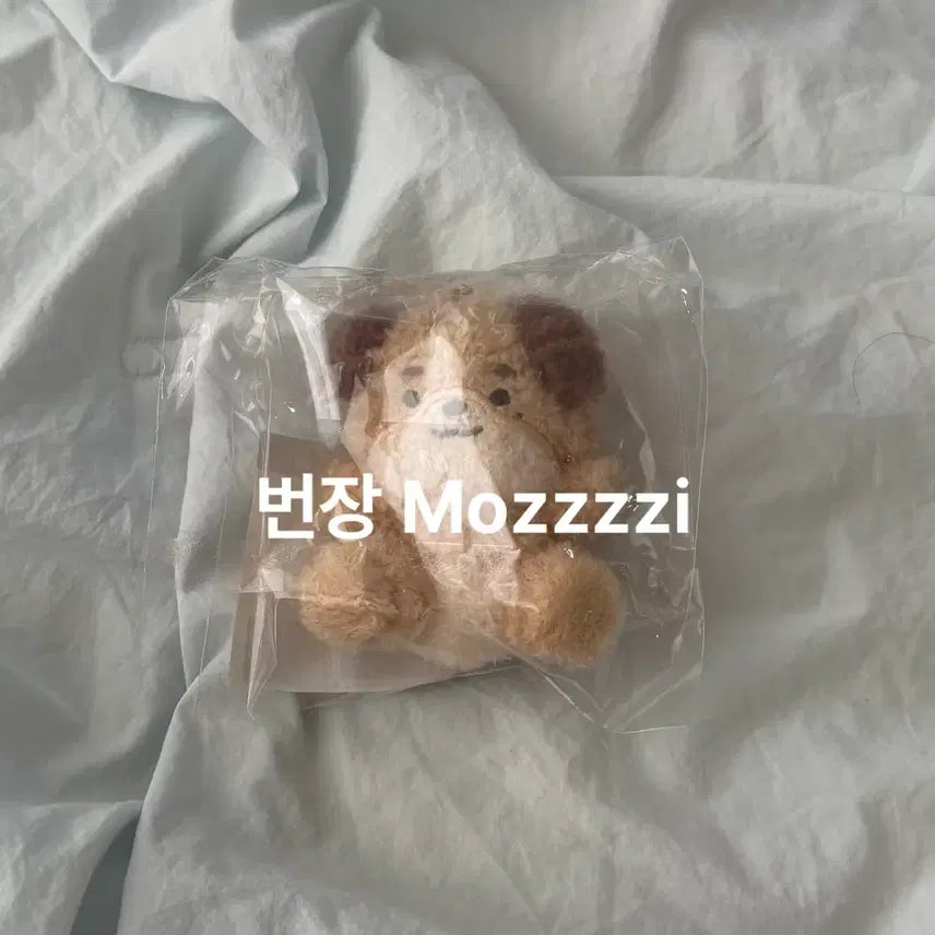 [BUNJANG] Day6 Petit Merz Seated Merz Don Photocard / 데이식스 쁘띠멀즈 쁘멀 앉은 멀즈 돈 미개봉 원가이하 양도