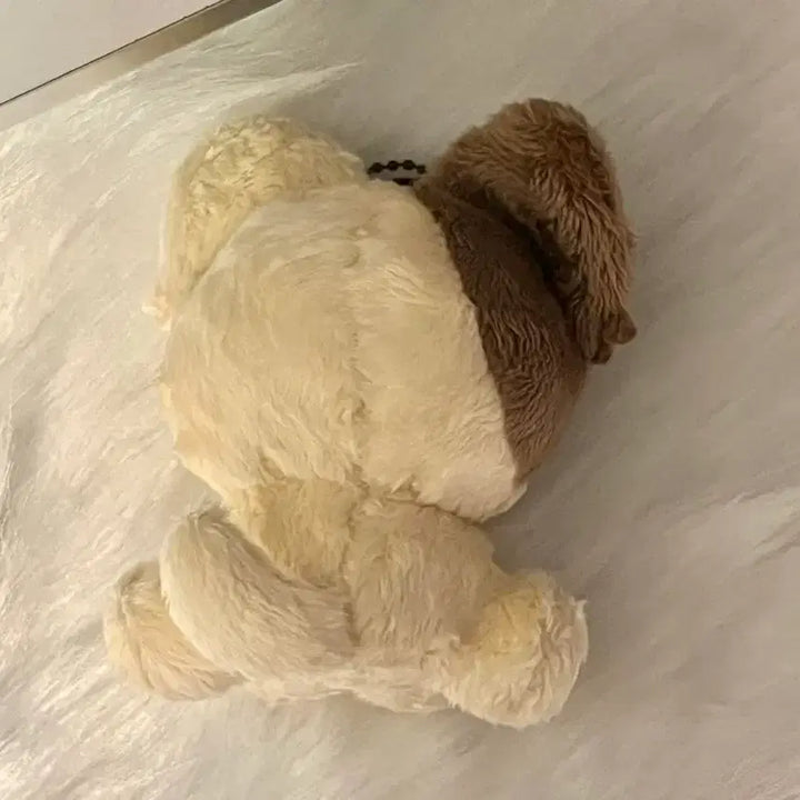 [BUNJANG] ENHYPEN EJ "Meongi JJu" Sitting Plush / 앉냥주의 멍이쭈 앤팀 의주 EJ 인형