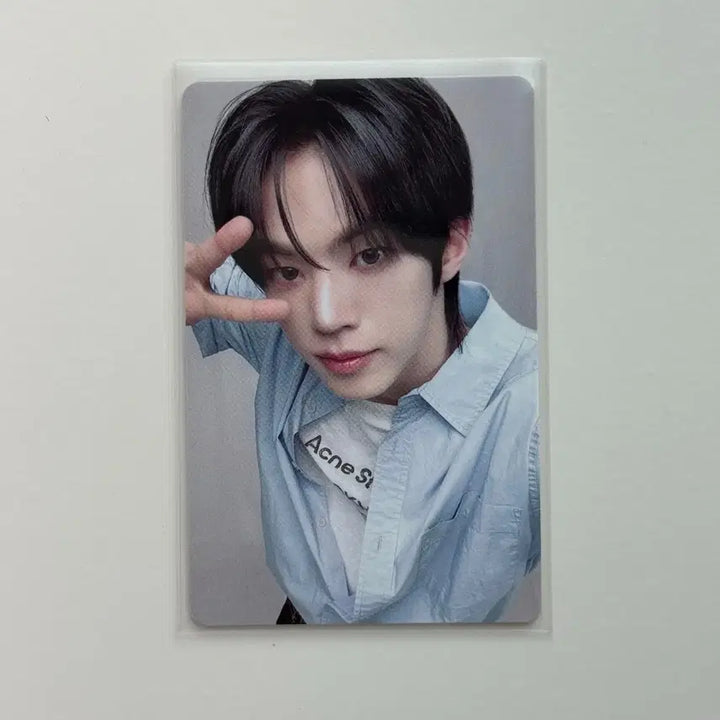[BUNJANG] TWS Dohyun Japan Concert Photocard / 투어스 도훈 일본 콘서트 셔츠 포카 - 현물