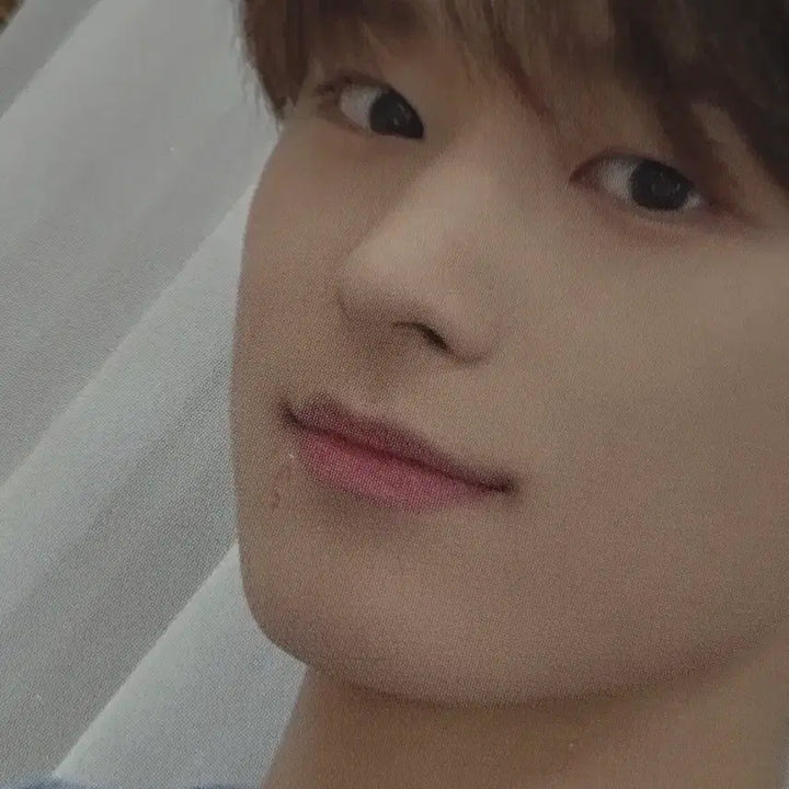 [BUNJANG] The Boyz Laffycell Photocard Ju Yeon / 더보이즈 라포티셀 포카