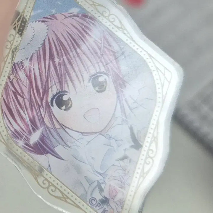 [BUNJANG] Amhu Angel Heart Can Badge Acrylic Keyring Bundle Set / 캐캐체 아무 엔젤 하트캔뱃지 아크릴키링 일괄