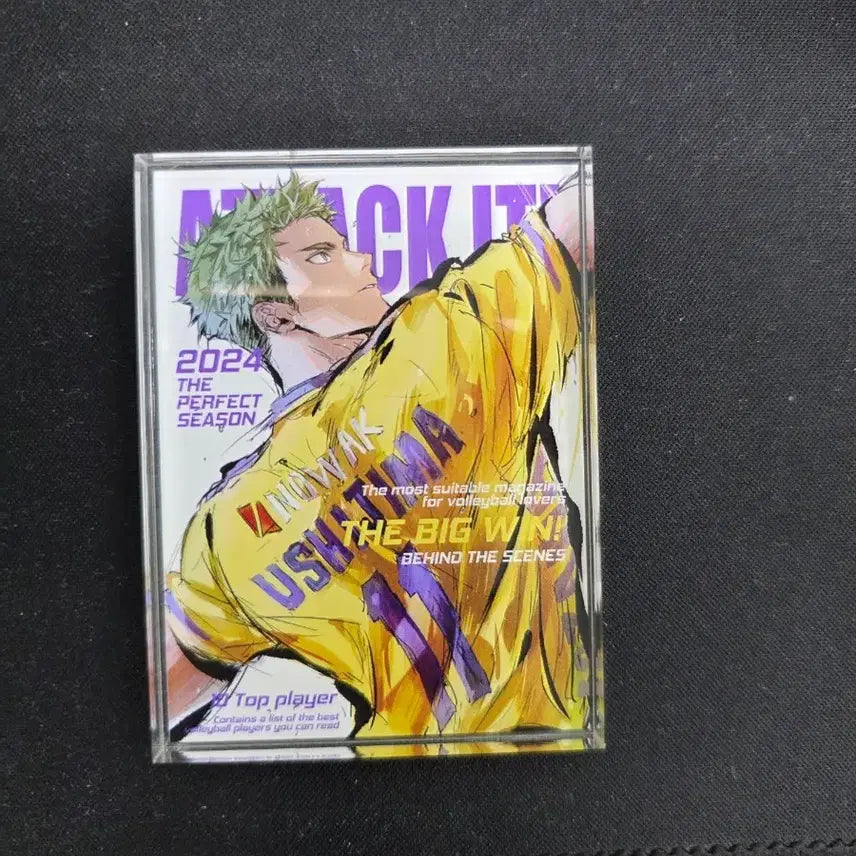 [BUNJANG] Haikyuu Ushijima Acrylic Standee (Unofficial, mmma Production) / 하이큐 비공식 mmma님 음마님 우시지마 아크릴 코롯코