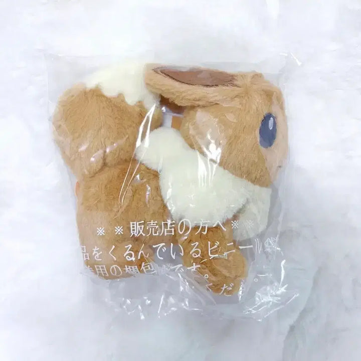 [BUNJANG] Pokemon Kutakuta Tatta Eevee Plush - Sealed / 최저가) 포켓몬 쿠타쿠타탓타 이브이 미개봉s