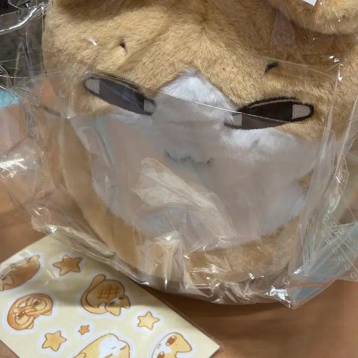 [BUNJANG] SEVENTEEN Jun "Junnyangppang" 25cm Cat Plush Doll / 세븐틴 준 문준휘 준휘 인형 준냥빵 25cm 고양이 인형