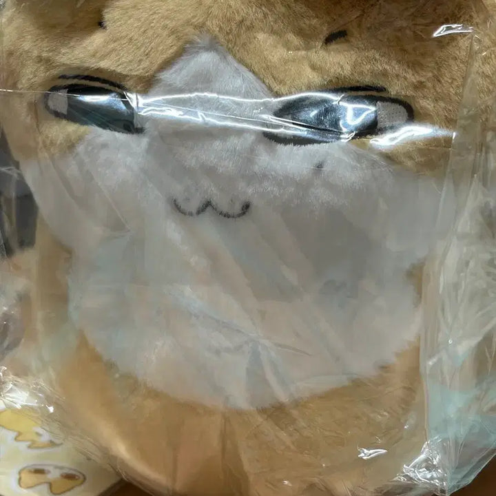 [BUNJANG] SEVENTEEN Jun "Junnyangppang" 25cm Cat Plush Doll / 세븐틴 준 문준휘 준휘 인형 준냥빵 25cm 고양이 인형